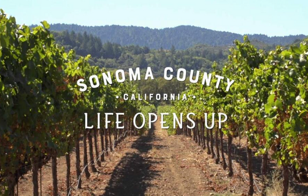 J Vineyards & Winery and grantLOVE: finalist in Best Tourism Partnership for Sonoma County